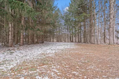 Other - 14174 Myers Rd, Dewitt, MI 48820 photo 16 of 18