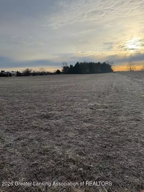 0 S Watson Rd, Saint Johns, MI 48879
