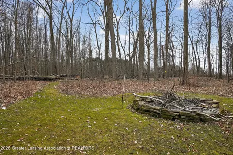 6545 W Galway Cir, Dimondale, MI 48821 photo 54