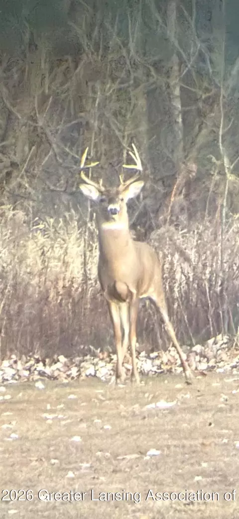 Other - 860 Gaiser Rd, Owosso, MI 48867 photo 31 of 31