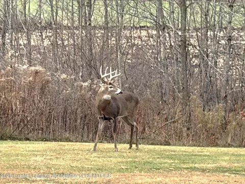 Other - 860 Gaiser Rd, Owosso, MI 48867 photo 30 of 31