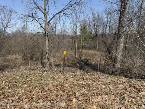 0 Peninsula Way, Laingsburg, MI 48848
