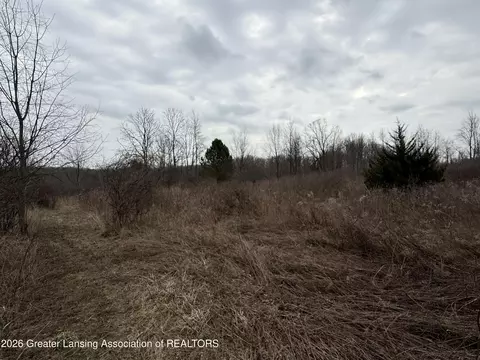 Other - 4416 N Smith Rd, Dimondale, MI 48821 photo 8 of 10