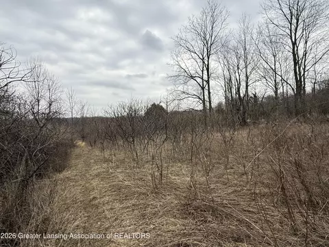 Other - 4416 N Smith Rd, Dimondale, MI 48821 photo 9 of 10