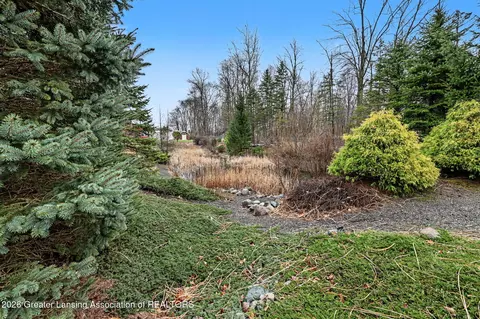 Exterior - 248 Birch Ln, Dimondale, MI 48821 photo 8 of 9