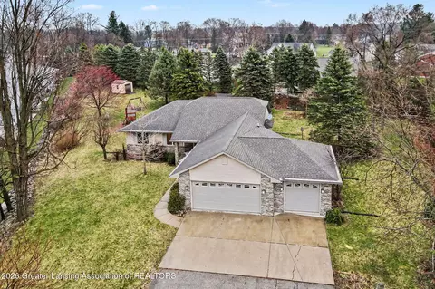 View/Area - 248 Birch Ln, Dimondale, MI 48821 photo 1 of 6