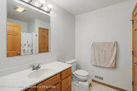 Bath - 248 Birch Ln, Dimondale, MI 48821 photo 4 of 6