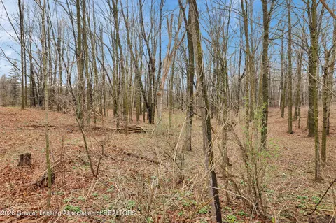 Other - 8885 E Jones Rd, Bellevue, MI 49021 photo 6 of 8