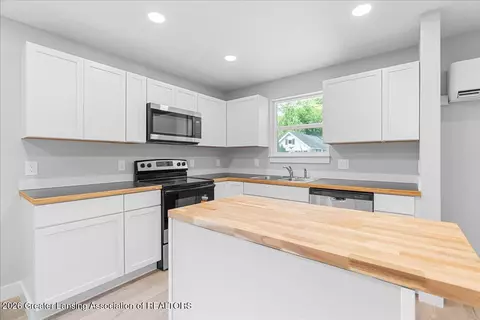 1737 Lyons Ave, Lansing, MI 48910 photo 5