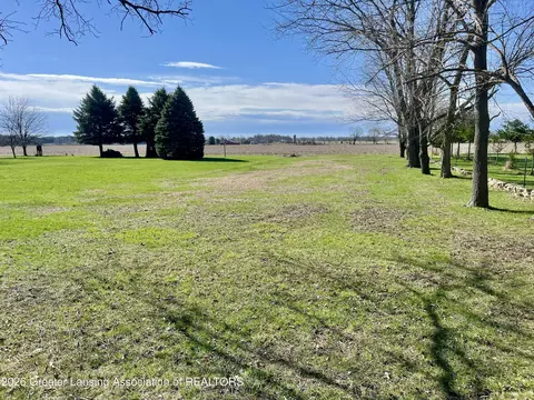 Exterior - 7394 Reeder Rd, Lyons, MI 48851 photo 6 of 8