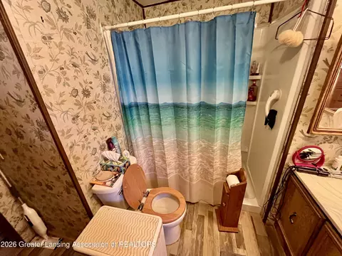 Bath - 7394 Reeder Rd, Lyons, MI 48851 photo 2 of 2