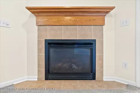 Other - 710 E Walker St, Saint Johns, MI 48879 photo 6 of 11