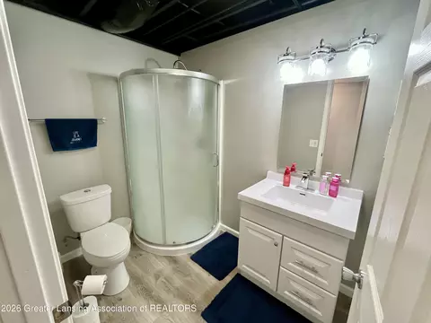 Bath - 8639 Jacaranda Dr, Dimondale, MI 48821 photo 4 of 4