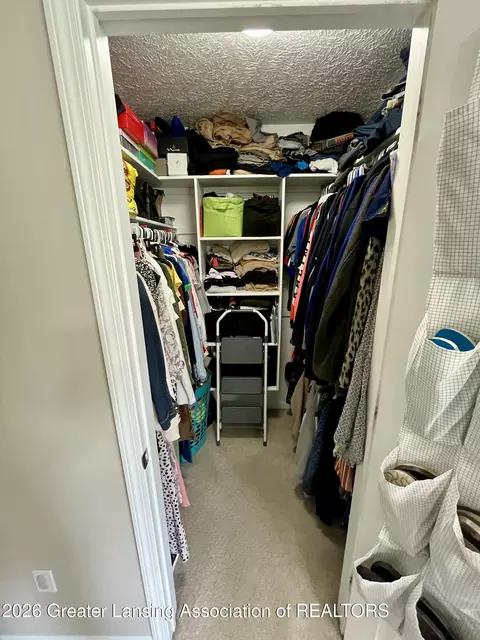 Other - 8639 Jacaranda Dr, Dimondale, MI 48821 photo 3 of 20
