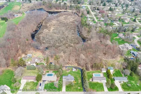 View/Area - 1430 Primrose Ln, Dewitt, MI 48820 photo 3 of 3