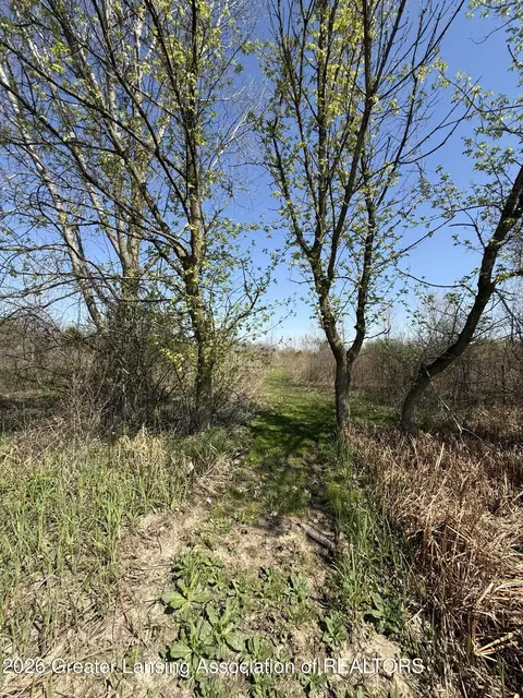 0 W St Joe Hwy, Mulliken, MI 48861