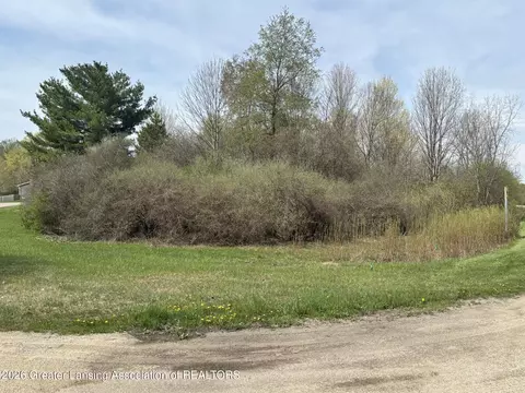 V/l Lakeside Drive/ Spruce Trail, Perrinton, MI 48871