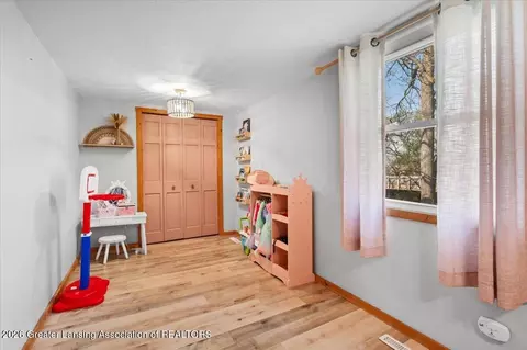 Other - 7008 E Maple Rapids Rd, Elsie, MI 48831 photo 14 of 21