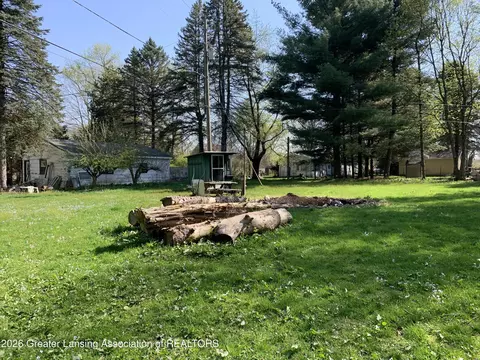 0 Point Dr, Lyons, MI 48851 photo 5