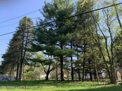 0 Point Dr, Lyons, MI 48851 photo 8