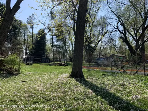 0 Point Dr, Lyons, MI 48851 photo 6
