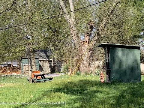 0 Point Dr, Lyons, MI 48851 photo 10
