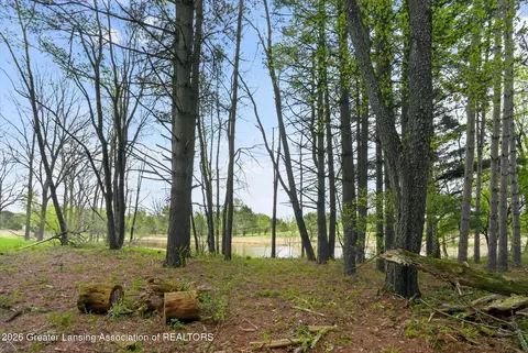 12791 Upton Rd, Bath, MI 48808 photo 18