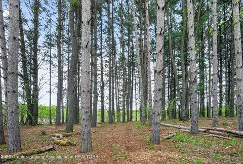 12791 Upton Rd, Bath, MI 48808 photo 8