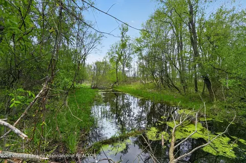 12791 Upton Rd, Bath, MI 48808 photo 10