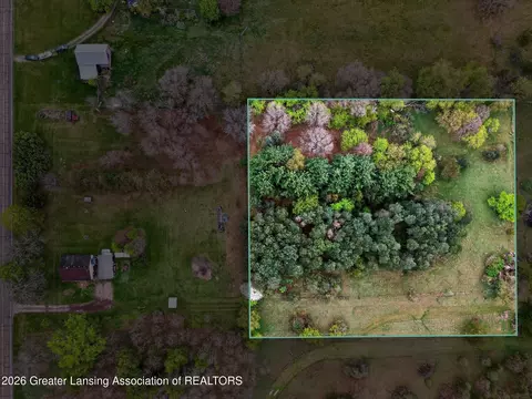 6834 N Wacousta Rd, Fowler, MI 48835 photo 52