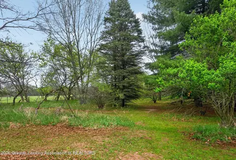 6834 N Wacousta Rd, Fowler, MI 48835 photo 35