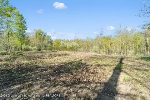 0 Bath Rd, Perry, MI 48872 photo 16
