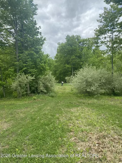 0 Bath Rd, Perry, MI 48872 photo 25