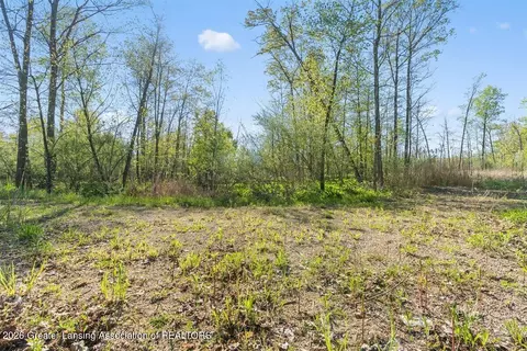 0 Bath Rd, Perry, MI 48872 photo 14
