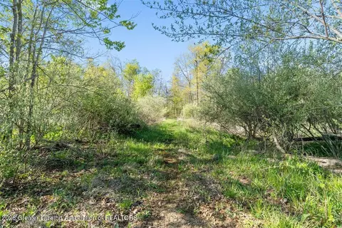0 Bath Rd, Perry, MI 48872 photo 17