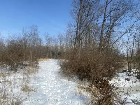 0 Bath Rd, Perry, MI 48872 photo 23