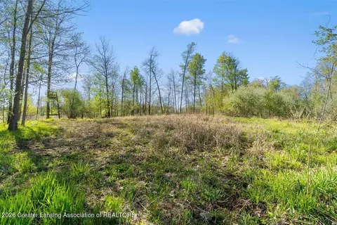 0 Bath Rd, Perry, MI 48872 photo 15