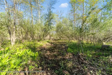 0 Bath Rd, Perry, MI 48872 photo 13