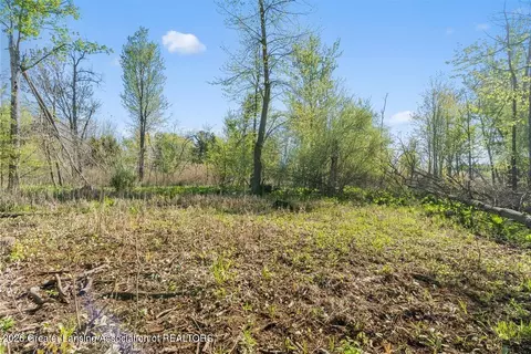 0 Bath Rd, Perry, MI 48872 photo 12
