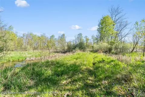 0 Bath Rd, Perry, MI 48872 photo 18