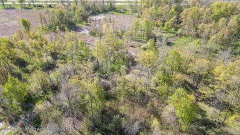 0 Bath Rd, Perry, MI 48872 photo 8