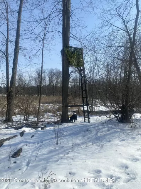 0 Bath Rd, Perry, MI 48872 photo 20