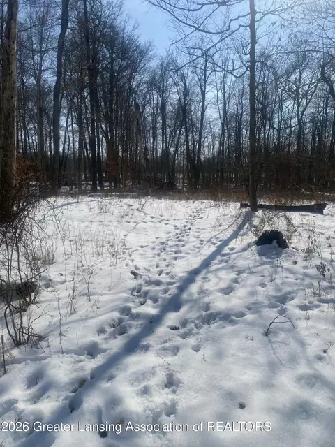 0 Bath Rd, Perry, MI 48872 photo 21