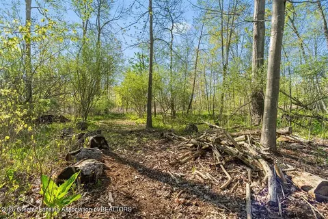 0 Bath Rd, Perry, MI 48872 photo 11