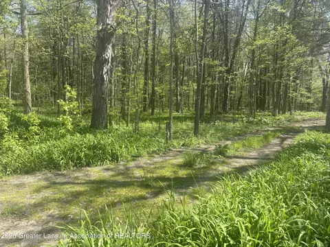0 Chinook Ln, Lyons, MI 48851