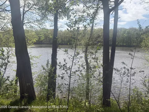 0 Chinook Ln, Lyons, MI 48851 photo 2