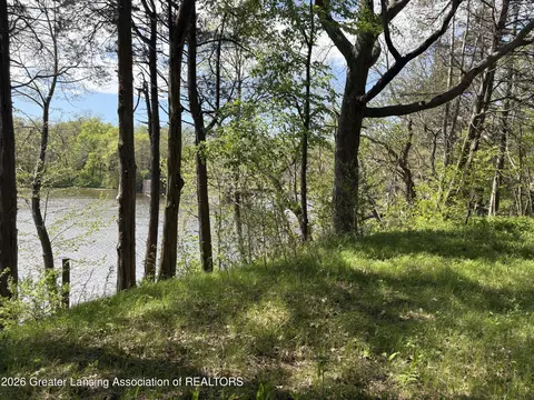 0 Chinook Ln, Lyons, MI 48851 photo 3