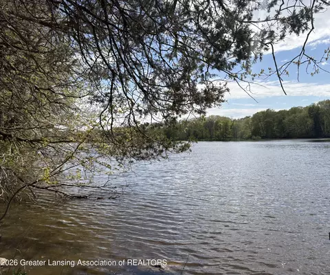 0 Chinook Ln, Lyons, MI 48851 photo 5