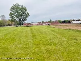 2817 Black Oak St, Webberville, MI 48892