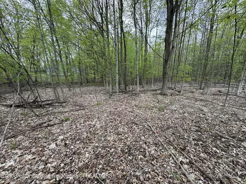 0 Thornapple Dr, Perrinton, MI 48871